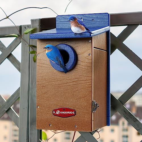 Kingyard Bluebird House, Outdoor Bird House with Predator Guard | Recycled poly lumber nesting box with a 1.5-inch entrance hole, clear viewing panel, bottom ventilation holes
