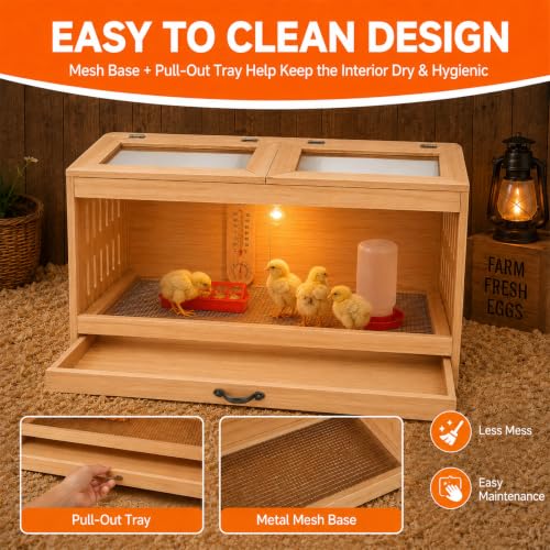 Wooden Brooder Box for Chicks, Ducklings & Quail Chick House | Solid NZ Pine Brooder Box, 31.5×15.75×15.75 in, Thermometer & Chick Perch, Clear Acrylic, Pull Drawer, Dual Vents for Poultry