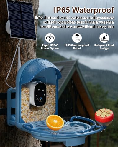 Bird Feeder with Camera, AI Recognition, Bird Bath, Solar Powered | Capture stunning 2K video, enjoy solar charging, bird bath design, night vision, smart app alerts and motion detection. - color: Blue, size: With BirdBath