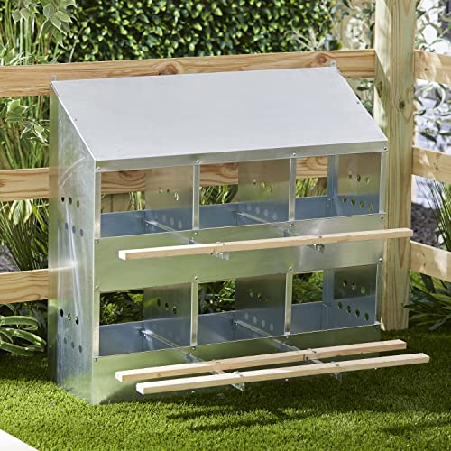 Brower 406B Galvanized Steel 6 Hole, 30 Bird Outdoor Poultry Nest Chicken Brooding Box with Hinged Folding Perches, Silver (2 Pack)