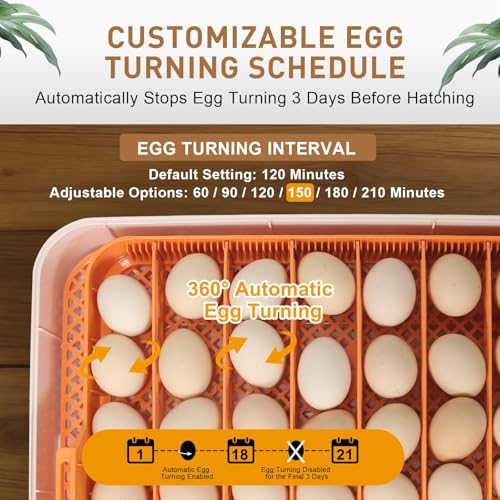 Gen IV – 56 Egg Fullly Automatic Incubator, 2026 Upgraded Design, Intelligent Sensor-Based Humidity & Temp Control, Chick Separator, Custom Days, Adjustable Auto Turning & Stop, Flexible Egg Spacing - size: 56 egg-orange