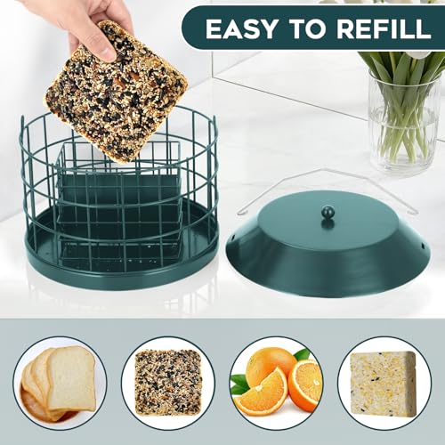 Gbekery Caged Suet Bird Feeder for Outdoors Hanging, Squirrel Proof Double Suet Feeder for Small Birds, Metal Cage with Detachable Hook, Large Space, Outdoors Weatherproof, Green - style: Green Suet Cage