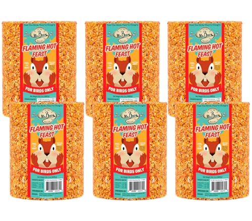 Mr. Bird Flaming Hot Feast Spicy Bird Seed Cylinder, 6-Pack, 4 lbs 3 oz | Premium Blend of Mealworms, Peanuts & Hot Pepper | Squirrel Repellent | Handcrafted in Texas - size: 4.19 Pound (Pack of 6)