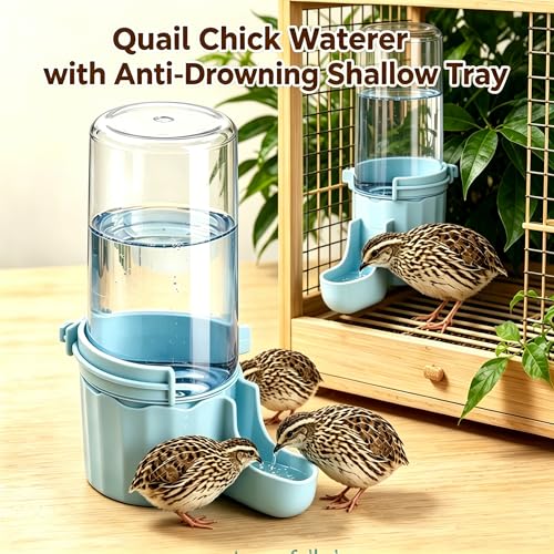 Button Quail Waterer with 1.5cm Narrow Safety Tray, 2 Pack 16.6 oz Baby Quail Chick Waterer, Automatic Gravity Water Dispenser with Integrated Hooks for Wire Mesh Cages and DIY Brooders,(Blue)
