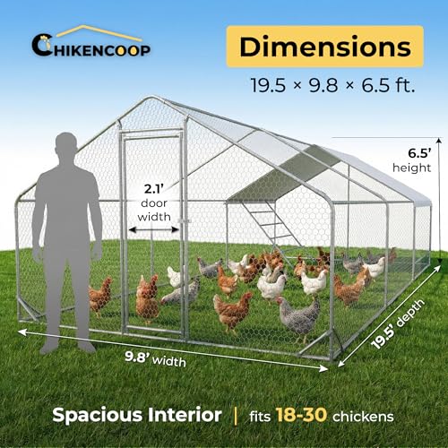 Efficraft Walk-in Chicken Coop, 19.5 x 9.8 x 6.5 ft, Waterproof Cover | 19.5 x 9.8 x 6.5 ft walk-in run with metal frame, PVC-coated mesh, lockable door, and waterproof cover. - size: 236"L x 118"W x 78"H