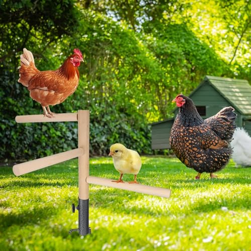 Kalekey Chicken Perch Toy for Coop, Chicken Perch Stand Wooden with Metal Ground Plug, Roosting Bar for Chicken Coop Toys, Suitable for Poultry Rooster Chicks Bird Parrot