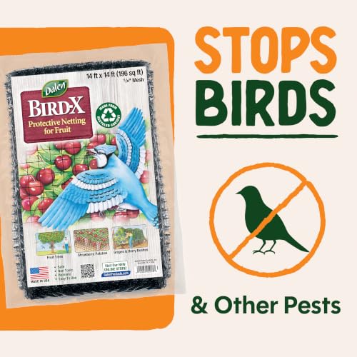 Dalen Bird-X Protective Mesh Netting for Fruit Trees, Berries, Vegetables - 14 ft x 14 ft, Black Garden Netting, 5/8-inch Mesh - Helps Deter Birds & Garden Pests, Made of Weather-Resistant Plastic - size: 14'X14'