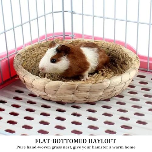 5 Pcs Pigeon Nest, Bird Nest Bowls, Wooden Nest for Pigeons Breeding Hatching (Natural Nest) - style: Natural Nest
