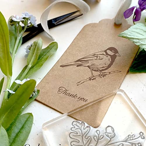 ORIGACH Realistic Birds Clear Stamps with Acrylic Stamping Block Set | TPR Transparent Stamps with Stamping Block for Card Making Decoration and DIY Scrapbooking