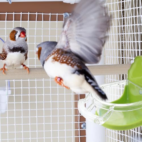 2 Pack Bird Detachable Bowl Plastic Food Cup Convenient Hanging Feeder for Small Bird Cockatiel Lovebird Canary Finch Parakeet Budgie (Green and Blue)