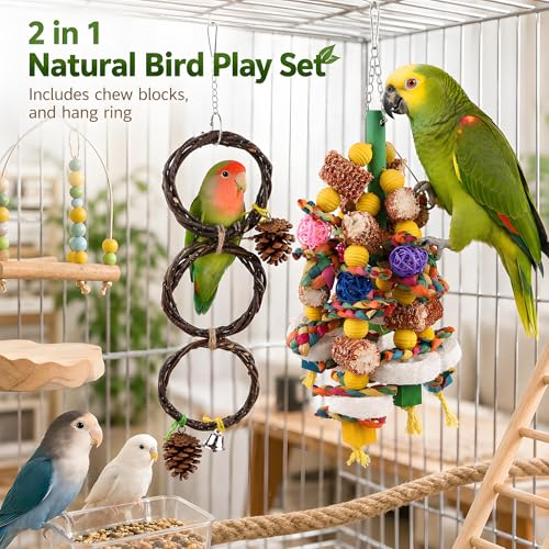 Bird Toys for Parrots - Natural Wood Parrot Toys Large Birds Chewing Fun Toy Set | Foraging Shredding Hanging Cage Accessories for Budgies Cockatiels Conures Macaws Lovebirds