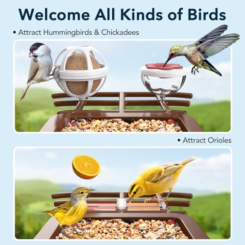 PeckCam® Bird Feeder with Camera Solar Powered 2K Live Video Auto Capture | AI Bird Species Identification, Instant App Alert, IP65 Waterproof, Easy Setup, Backyard Bird-Watching, Gift for Bird Lovers - color: Light Brown
