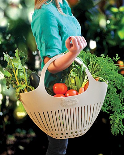 Hutzler Garden Colander Garden Basket, large, Green - color: Green, size: Large