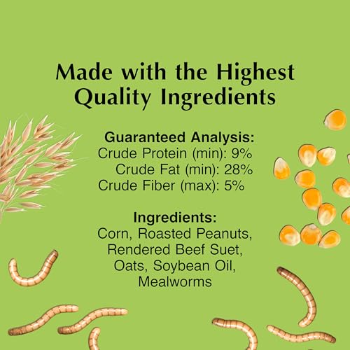 C&S Mealworm Delight No Melt Suet Dough, Suet Cakes for Wild Birds Including Robins, Blue Jays, Woodpeckers, Wrens, Bluebirds and More, 11.75 Ounces, Pack of 8 - size: 1.47 Ounce (Pack of 8), style: Mealworm, 8 Pack