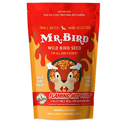 Mr. Bird Flaming Hot Feast Spicy Wild Bird Seed, 6-Pack, 2lb Resealable Bag | Spicy Bird Seed for Outside Feeders | Premium Blend of Mealworms, Peanuts, Hot Pepper | Keeps Squirrels Away | Loose Seed Bag - size: 2 Pound (Pack of 6)