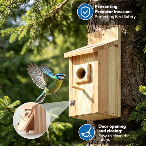 6 Pack Bird Houses for Outside - Wooden Bird Houses with Perch Design, Bluebird Nesting Box for Wren Chickadee Finch, Outdoor Birdhouse for Garden Yard (6)