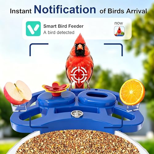 Smart Bird Feeder with Camera Solar Powered, AI Species Identification, 2K HD Video, Instant Arrival Alerts, Weatherproof Design for Outdoor, Best Gift for Bird Lovers(Blue) - color: Blue