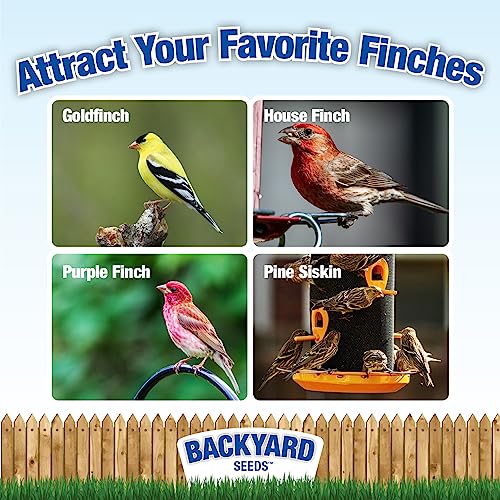 Backyard Seeds Finch & Small Songbird Frenzy 20lbs - Premium Nyjer Thistle Seed Blend for Finch Feeders, Small Bag of Wild Bird Food - size: 20 Pound (Pack of 1), style: Finch Frenzy