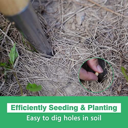 Berry&Bird Hand Dibber, Stainless Steel Seed Planter Tool Bulb Planter Tool | Sow Dibbler with Wood Handle, Garden Hole Punch Dibber Tool for Planting Seeds & Bulbs, Flowers Tulips Daffodils Dahlias - size: 4.8''