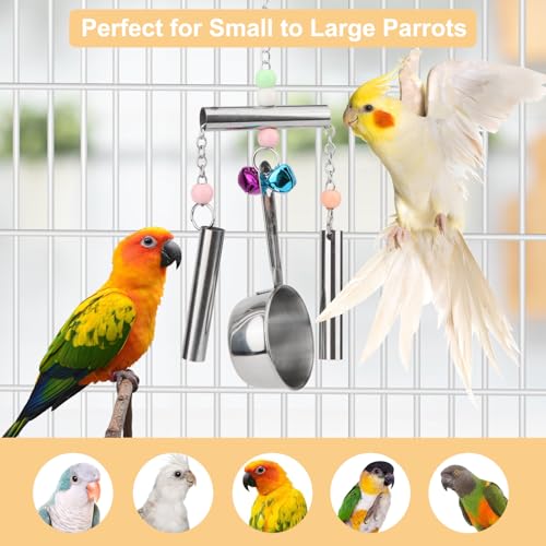 Hypeety Stainless Steel Bird Bell Toys Heavy Duty Hanging Bell Toy for Cage | Rustproof, durable, safe for metal cage, easy-hanging, with 1 spoon, for cockatoos/macaws/african grey/large parrots and bird - color: Bells+Spoon