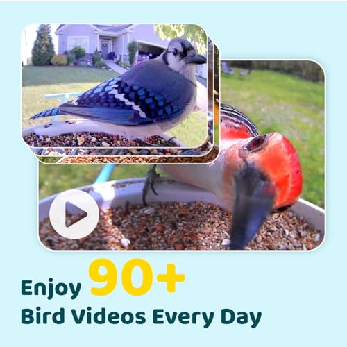 NETVUE by Birdfy Smart Bird Feeder with Camera, No Subscription, 1080P | AI Bird Species Identification, 2MP Night Vision, Live Stream, 2.4GHz Wi-Fi, IP66 for Outdoor, Gifts for Bird Lovers, Blue - color: Blue, style: AI