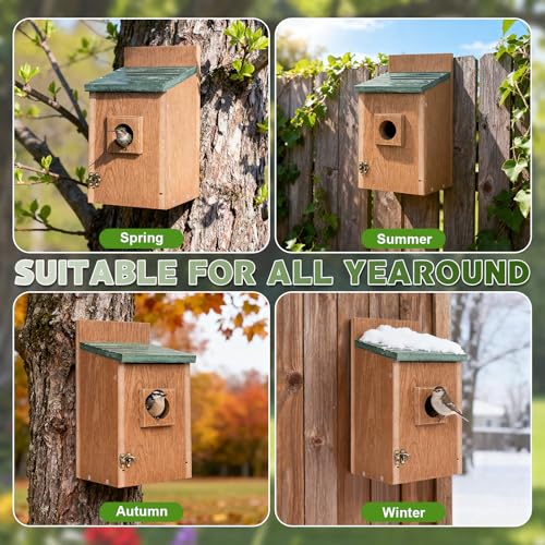 Gtongoko Recycled Plastic Bluebird Houses for Outside 1-1/2" Entrance Green | Predator Guard, Elevated Mesh Floor, Climbing Grooves, Clean-Out Door, Air Ventilation for Bluebirds, Swallows & Chickadees - color: Green & Brown-1 Pack
