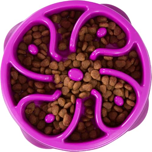 Outward Hound Fun Feeder Slo Bowl – Medium 2‑Cup Capacity,Slow Feeding,Small to Medium Dogs & Cats,Non-Slip,Purple,Flower Pattern,(Pack of 12) - color: Purple, size: Medium (Pack of 12)