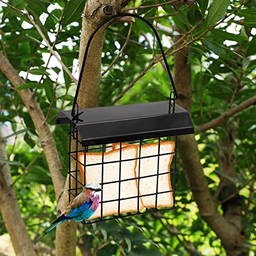 FORUP Suet Bird Feeder, Hanging Suet Feeder, Single Suet Cake Bird Feeder, One Suet Capacity, 2 Pack