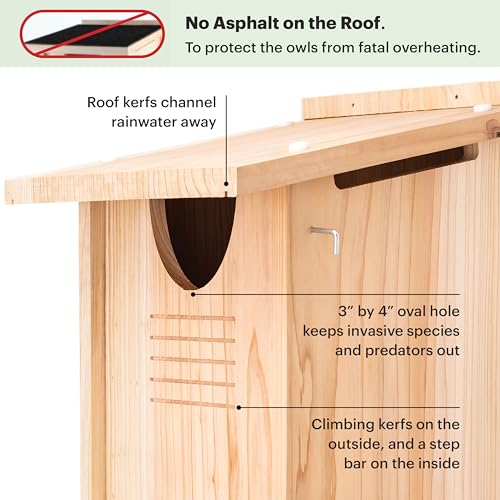 WHITEHORSE Large Cedar Owl House - Premium and Weatherproof Design - 16" x 12" x 11" - A Nesting Box for Screech Owls, Boreal, Northern Pygmy, Saw-whets, Elf, Flammulated, Kestrel and Others