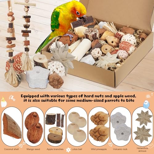Bird Toys Parrot Natural Foraging Box Parakeet Toys DIY Hanging String for Cockatiels,Conures,Love Birds,and Other Small to Medium Birds Cage Accessories (Large) - size: Large