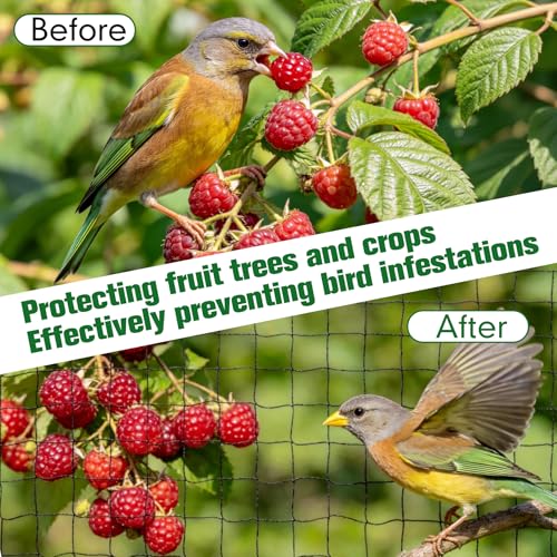 50 x 100 ft Bird Netting for Chicken coop 2.4" Mesh Poultry Netting, Protects Garden, Fruit Trees & Poultry from Birds & Small Animals