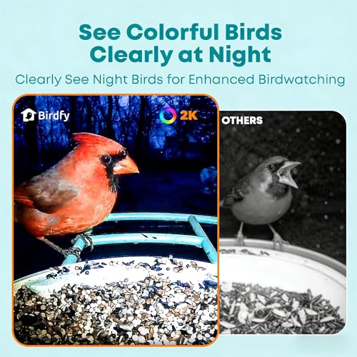 NETVUE by Birdfy Smart Bird Feeder with 2K AI Camera, Value for Beginners | Accurate AI Bird ID, Auto Records & Smart Notification, Free Cloud Storage, Easy Setup & App, Work with Alexa - color: Blue