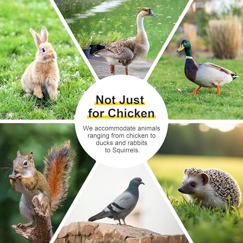 GOJOOASIS Chicken Coop for 2 Chickens Raised House with Ramp & Nesting Box | Outdoor Wooden Hen House for Small Animals, Backyard Chicken Hutch Poultry Cage, Waterproof Roof, Easy-Clean Tray, Grey - color: Grey