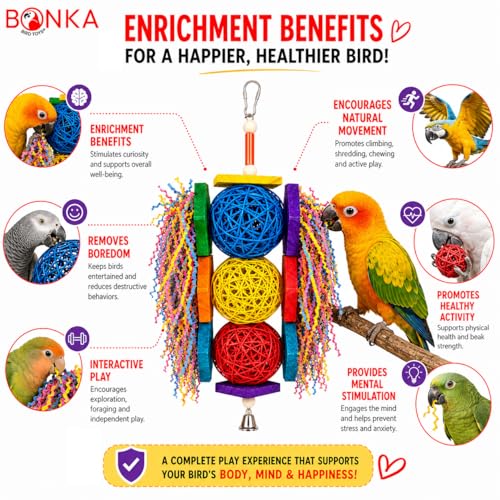 Bonka Bird Toys 1854 Tri Foraging Star 13" x 8" Natural Vine Ball Chew and Shred Toy for Medium to Large Birds Like Conures African Greys Amazons and Similar - size: Tri