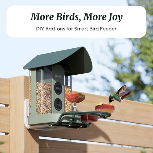 Smart Bird Feeder with 4K AI Camera Solar Powered | Hummingbird Feeder Kit Included, AI Identification Bird Specie, 4K Live Stream, Real-Time Bird Visit Alert, Birdwatching Gift