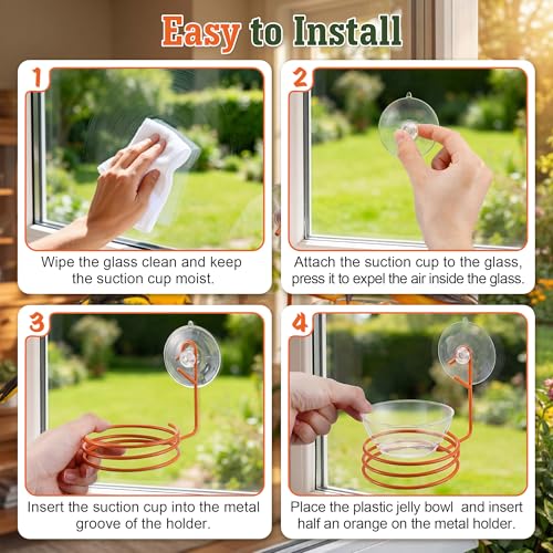 2 Set Window Oriole Feeders for Outdoors, 6 oz | Hanging Metal Oriole Bird Feeder for Jelly and Oranges with Fruit Holder & Strong Suction Cup for Window, Garden, Patio