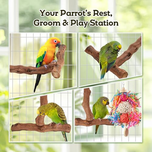 Bird Toys, Parakeet Foraging Toys, Hanging Chewing Toys with Natural Wooden Perches, Bird Cage Accessories, Suitable for Parakeets, Cockatiels, Budgies, Lovebirds & More - color: 5 pieces sola