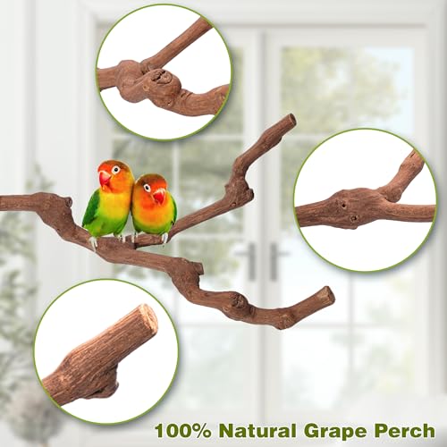 3PCS Bird Perch Natural Grape Stick Chewable Bird Stand Paw Grinding Branches Toy Cage Accessories for Small Budgies Cockatiels Lovebirds