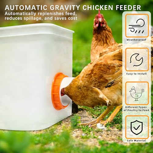Chicken Feeder Port, 6 Chicken Feeders No Waste, 6 Lids 1 Drill Bit, Orange | Rainproof DIY Automatic Poultry Feeder Cups Kit, Common Breeds Chicken Bucket Feeder for Barrels - color: Orange, size: 6 pack
