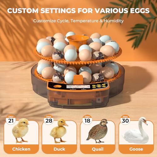 48 Egg Incubator - Incubators for Hatching Chicken Eggs with Egg Candler, Temperature & Humidity Control, Auto Egg Turner, and Abnormal Alarm - size: 48 Gggs