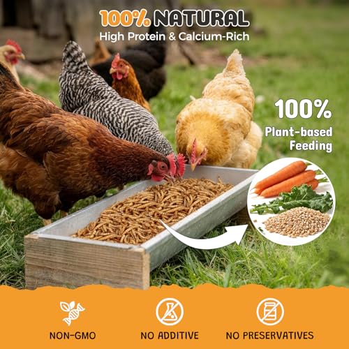 Dried Mealworms 10LB, 100% Natural High-Protein Chicken Treats & Wild Bird Food, Non-GMO Meal Worms for Laying Hens, Ducks, Bluebirds, Reptiles, Hamsters - size: 10 Pound (Pack of 1)