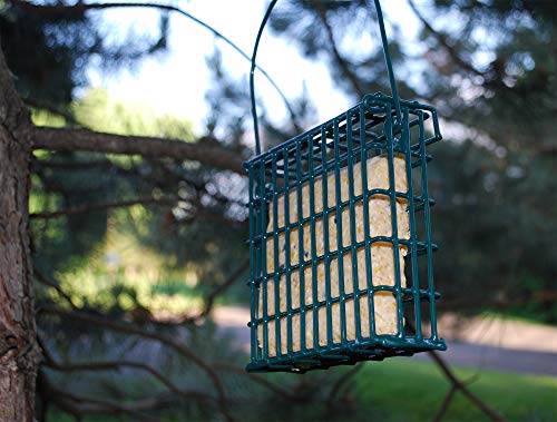 Wildlife Sciences Mealworms & Nuts Suet Cakes, 11 oz., 12 Pack