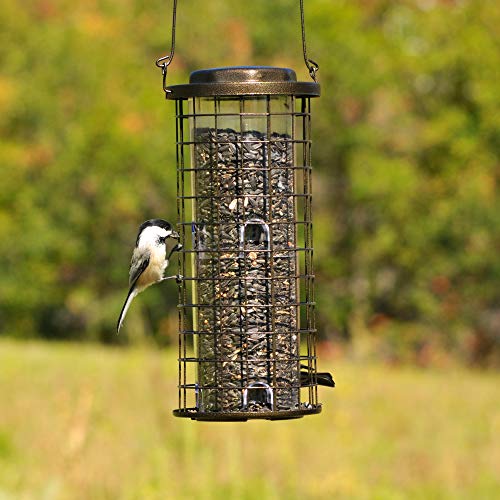 Perky-Pet 114 Squirrel Stumper Wild Bird Feeder