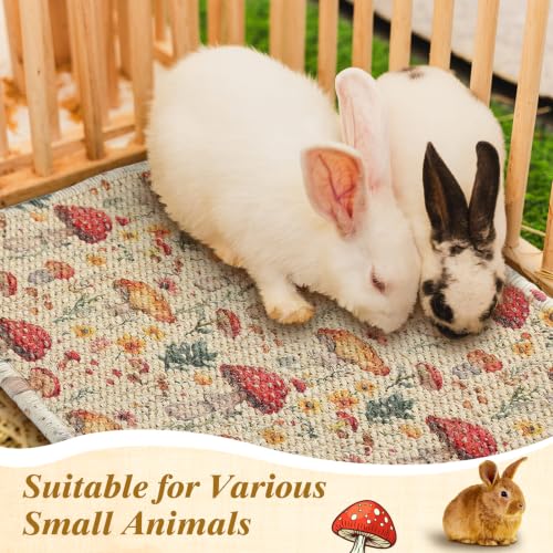 2 Pcs Rabbit Scratch Mats Natural Sisal Bunny Scratch Pads Claws and Teeth Care Rabbit Scratching Mats for Bunny Pet Small Animal Biting Sleeping Nesting Chew Play Toys