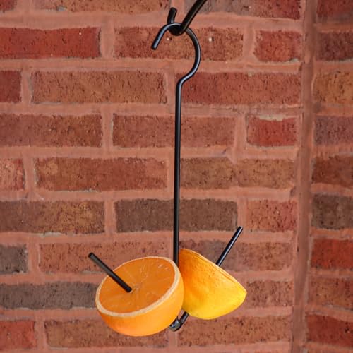 Oriole Orange Fruit Holder | Simple Hanging Bird Feeder with Hook - Made in USA
