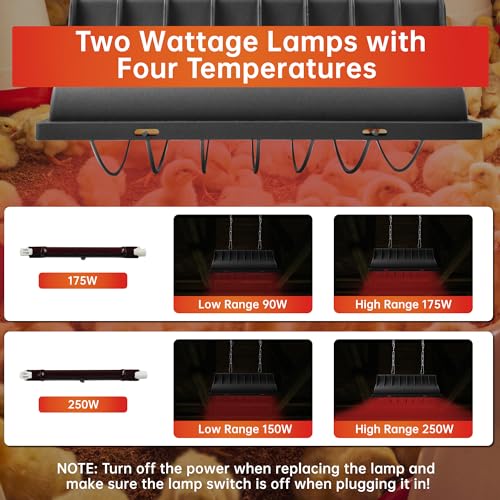 Chicken Coop Heater for Chicks,Brooder Heater with 2pcs Heat Lamp(250W and 175W),Adjustable Temp & Height Chicken Brooder Box Supplies for Chicken Livestock Dogs Sheep Pets