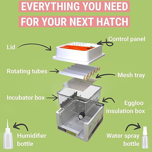 OBI-12 Incubator for Hatching Eggs – 12 Eggs, Easy to Use, Stable Temperature & Humidity Control with Eggloo Insulation - Orange