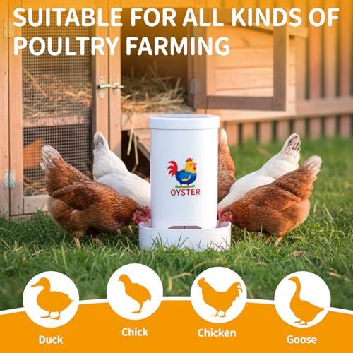 FoldTier 2 Pcs Chicken Oyster Shell Feeder and Grit Feeder for Quail, Pigeons, Doves, Chicks, Chicken Coop Accessories for Rust Prevention Comes with Installation Tools