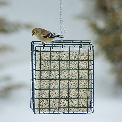 Mr. Bird's XL NeatFeeder Wire Suet and Cake Basket Bird Feeder