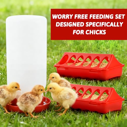 4Pcs Chick Feeder and Waterer Kit, 3×12-Hole Anti-Spill Trough Feeders & 1 Automatic Waterer, Baby Chick Starter Kit for Chicks Ducklings Quail & Small Poultry